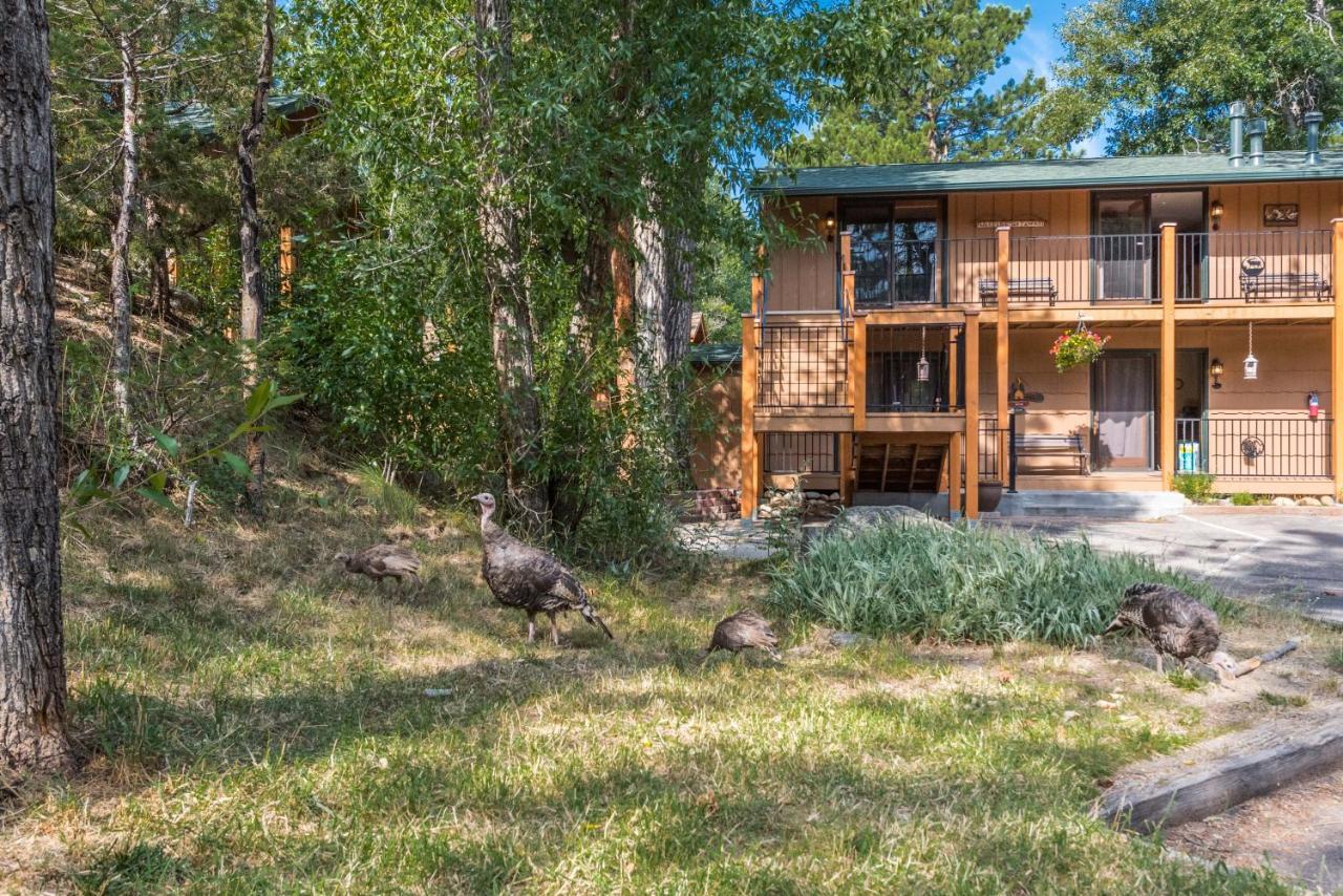 4 Seasons Inn On Fall River Estes Park Ngoại thất bức ảnh